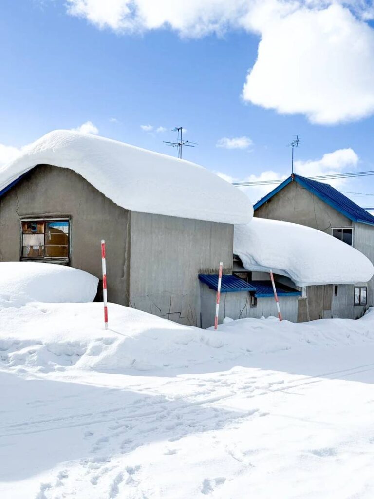 Adorável Cottage de Espuma de Leite de Hokkaido: Um Local Imperdível para Doces em Japão