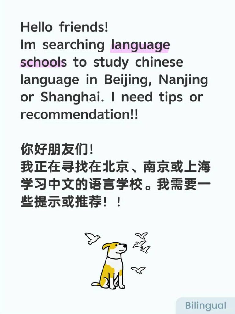Best Chinese Language Schools for Beginners – Learn Mandarin Fast & Easy!
