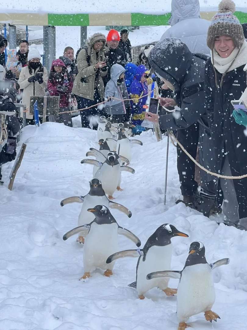 Best Hokkaido Travel Tips: Why This Stunning Destination Will Leave You Speechless