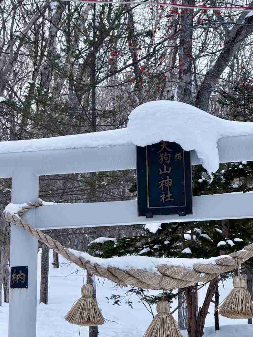 Best Hokkaido Winter Trip Guide 2025: Top Attractions & Travel Tips for February