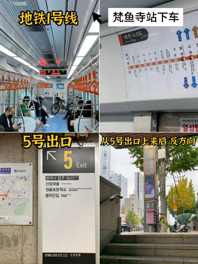 Best Spots for Autumn Foliage in Busan: Top Places to See Fall Colors in Korea