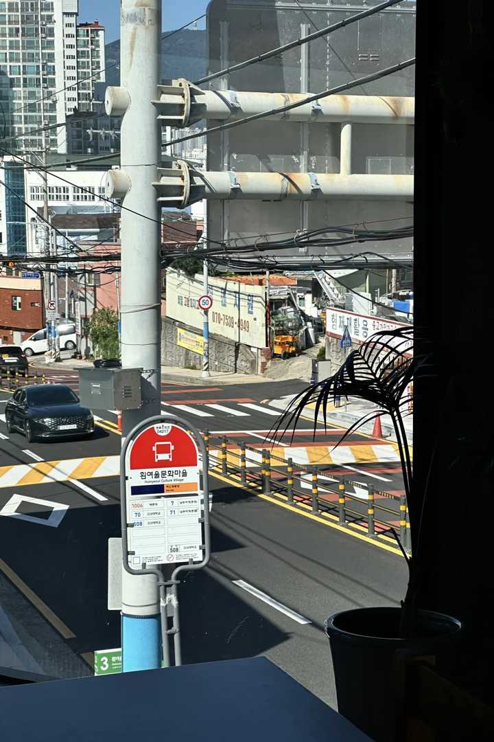 Best Things to Do in Busan for INFJs: A Peaceful Travel Guide for Introverts