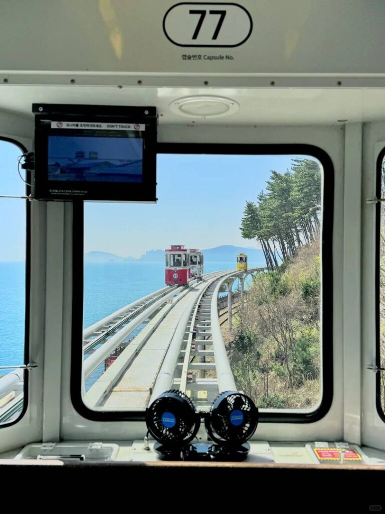 Les meilleures choses à faire à Busan pour votre premier voyage du Nouvel An 2025