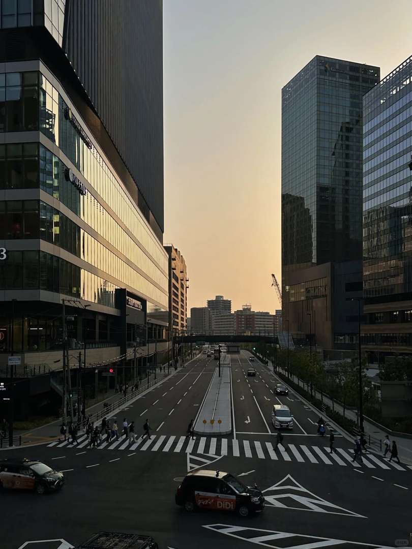 Melhores Coisas para Fazer em Osaka e Kyoto em Março: Guia de Viagem com Cerejeiras e Primavera
