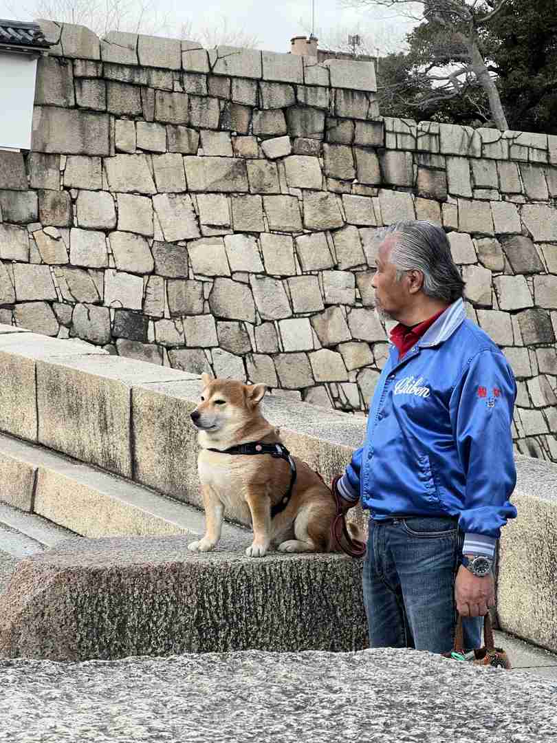 Best Things to Do in Osaka: Top Attractions & Hidden Gems for Travelers