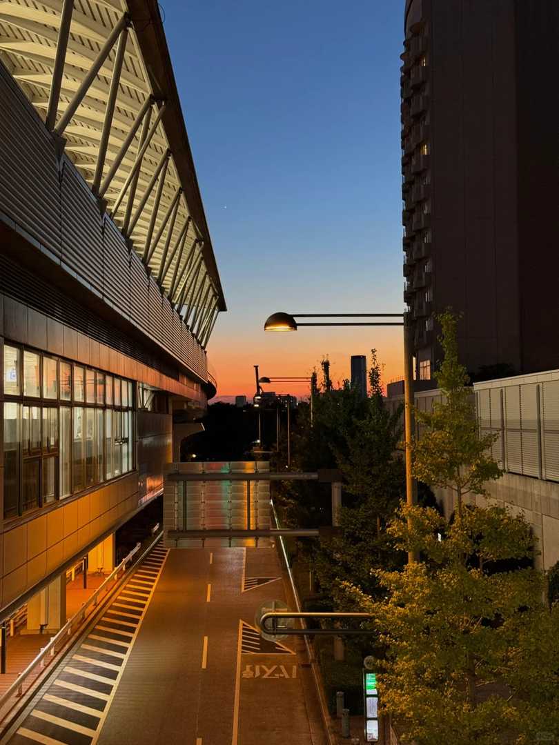 Best Things to Do in Tokyo Bay Odaiba | Top Attractions & Travel Guide