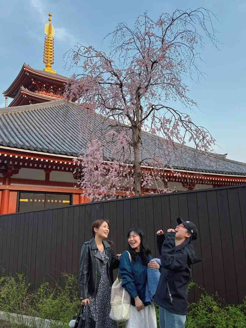 Best Time to See Cherry Blossoms at Senso-ji Temple in Tokyo - 2025 Blooming Guide