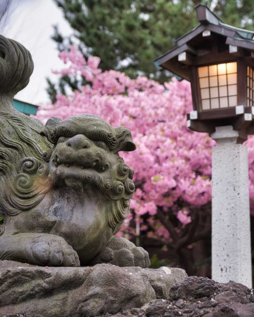 Beste Zeit, um Kirschblüten in Tokio 2025 zu sehen - Vollständiger Leitfaden für die Blüte und Aussichtspunkte 🌸
