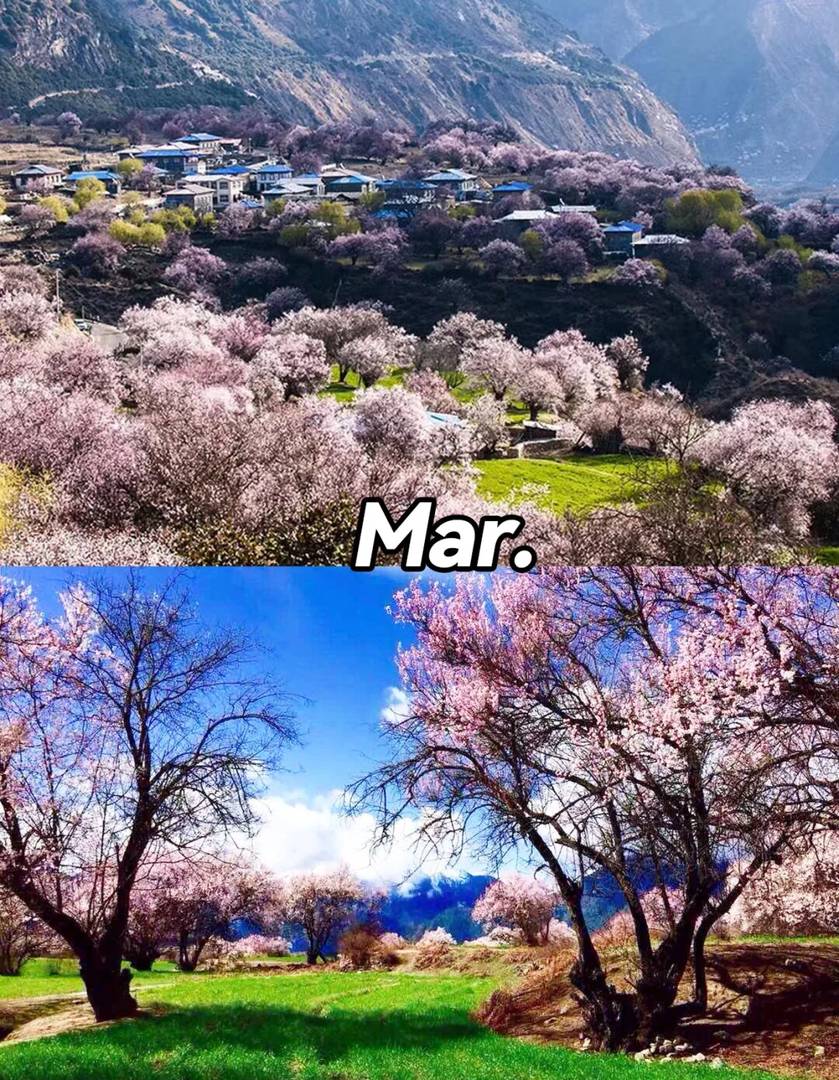 Best Time to Visit China: Seasonal Travel Guide & Top Destinations by Month