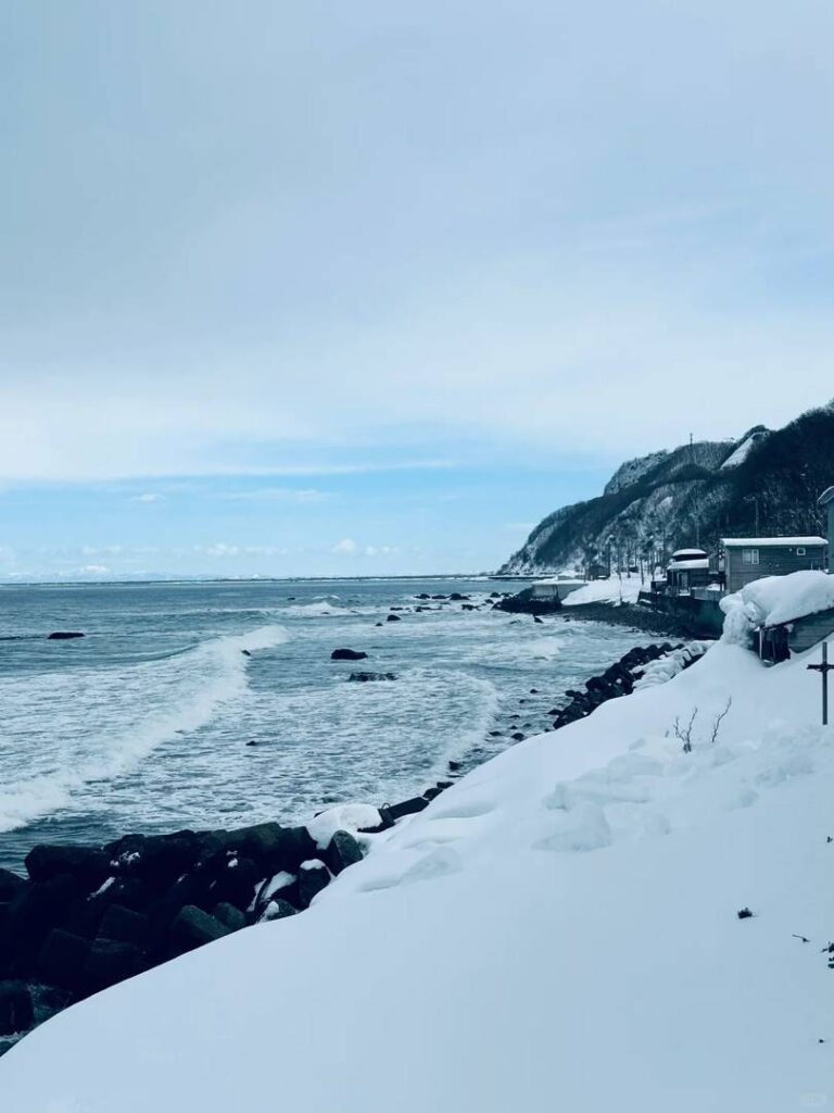 Best Winter Getaway in Hokkaido: Otaru Travel Guide with Penguins & Snow