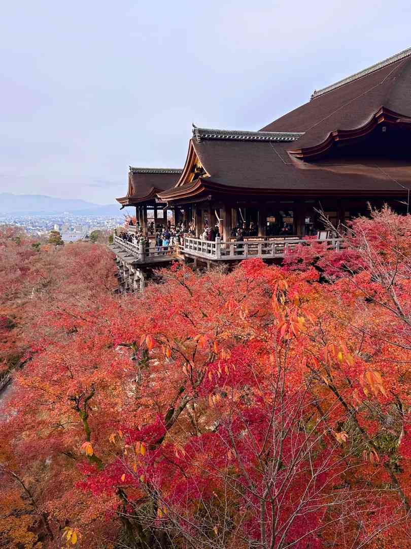 Breathtaking Live Photos from Japan: My Unforgettable Travel Experience π―π΅