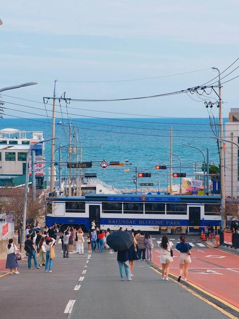 Busan Travel Guide: Must-Visit Attractions in Korea's Most Stunning Coastal City, Even More Beautiful Than Jeju Island
