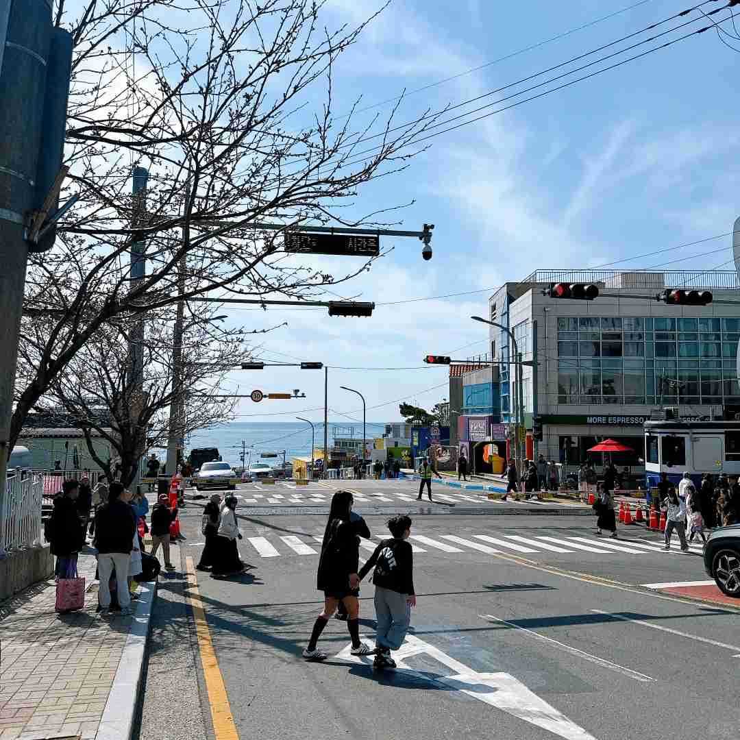 Discover Why Busan is a Great Travel Destination But May Not Be Perfect for Everyone