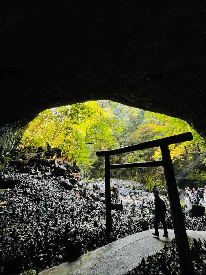 Discover the Enchanting Mysteries of Fukuoka's Hidden Forest Trails in Japan