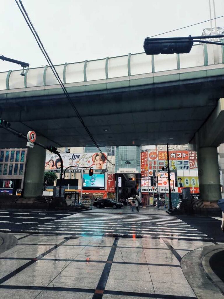 Guide de voyage pour la première fois au Japon : pourquoi Osaka m’a déçu | Examen honnête du voyage