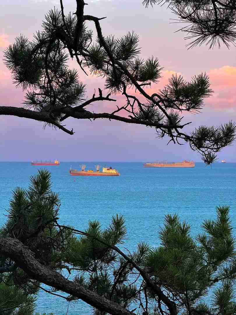 Hidden Photo Spots in Busan: Best Secret Locations for Instagram-Worthy Travel Pics