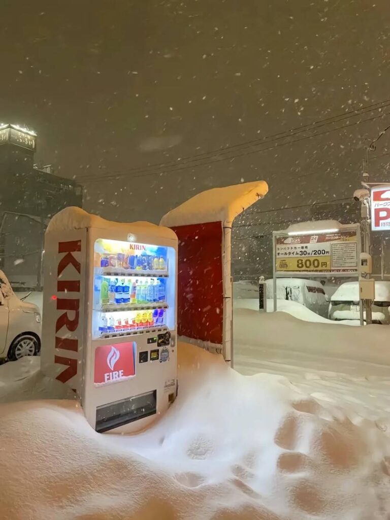 Honest Hokkaido Travel Tips: 3 Years of Insider Advice for Your Perfect Trip
