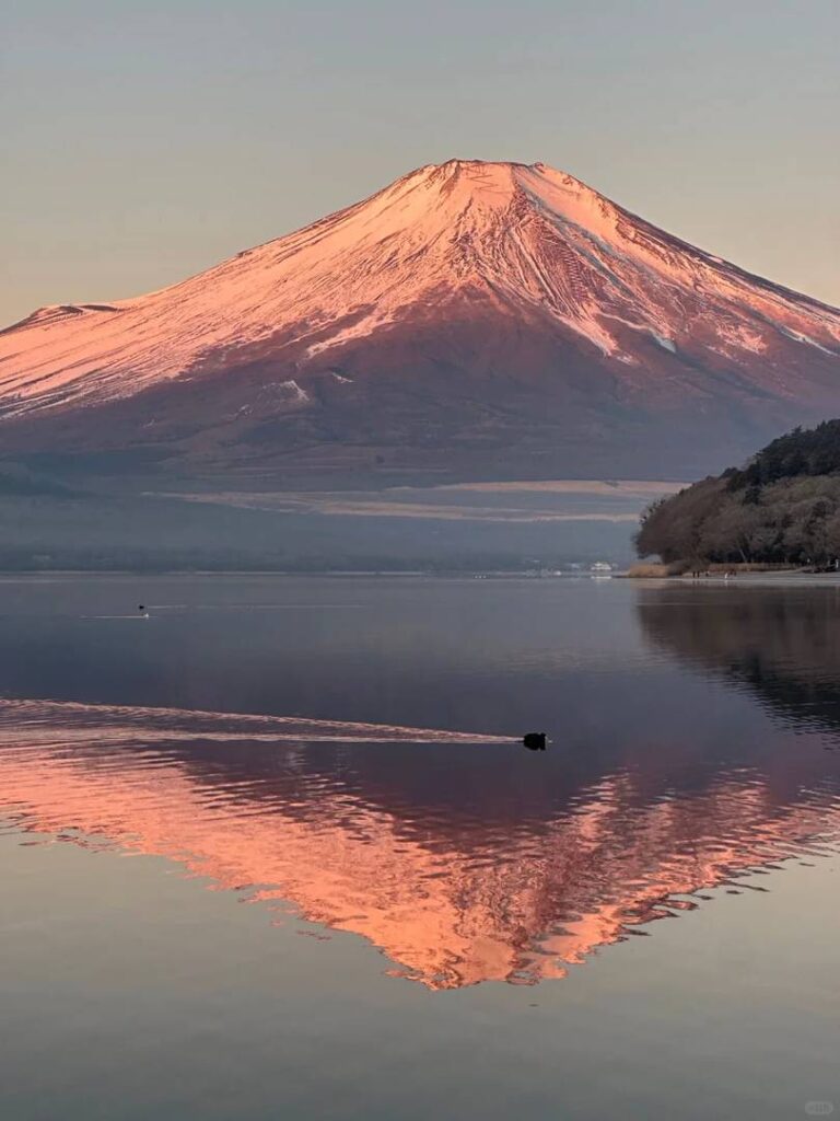 Japan Travel Guide 2023: Honest Tips & Must-Know Advice for First-Time Visitors