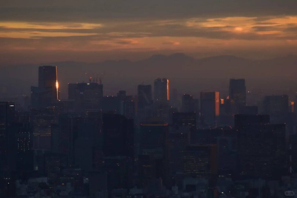 Let’s Meet in Tokyo: Best Places & Tips for an Unforgettable Encounter in Japan