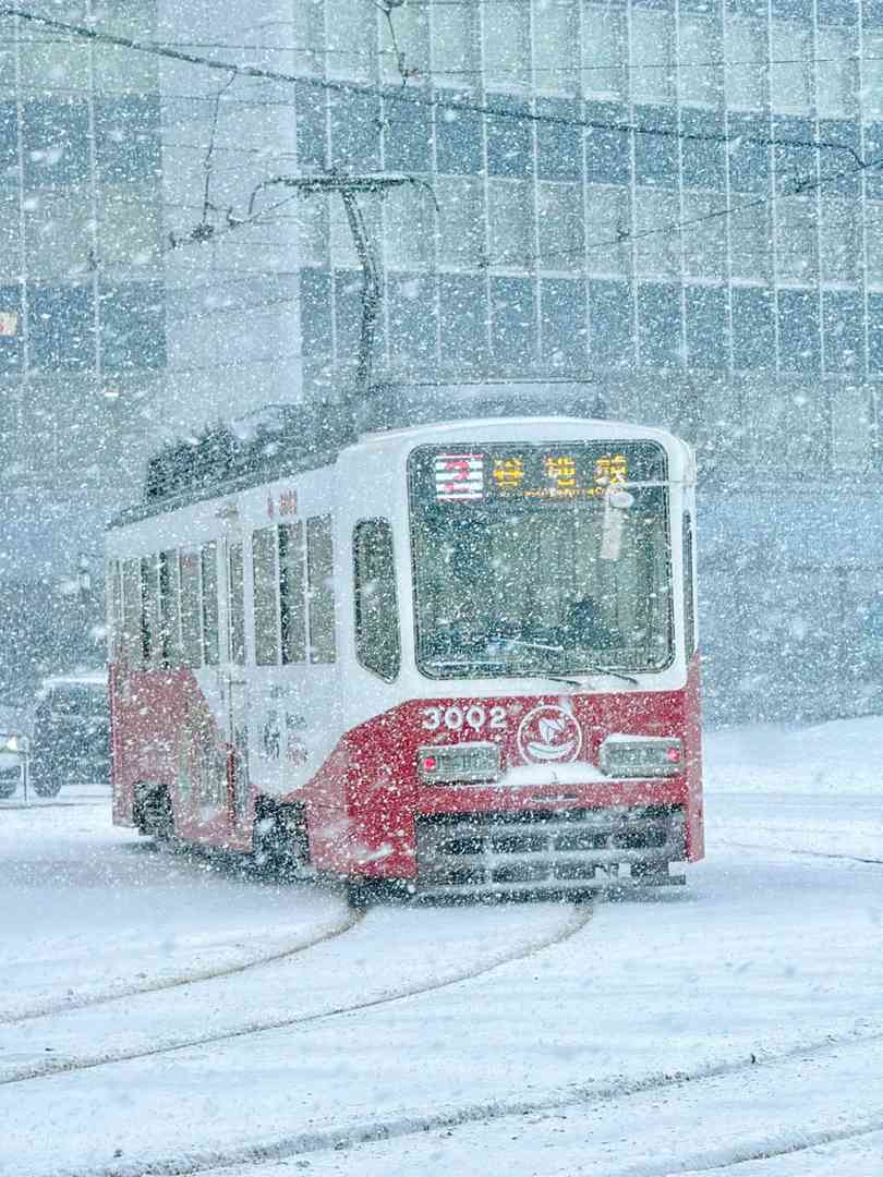 Live Photos Meaning Explained: Why Hokkaido's Winter Scenes Feel Like Falling in Love