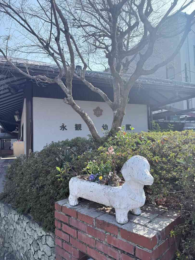 Memorable Osaka Travel Guide: Unforgettable Trip Highlights & Hidden Gems