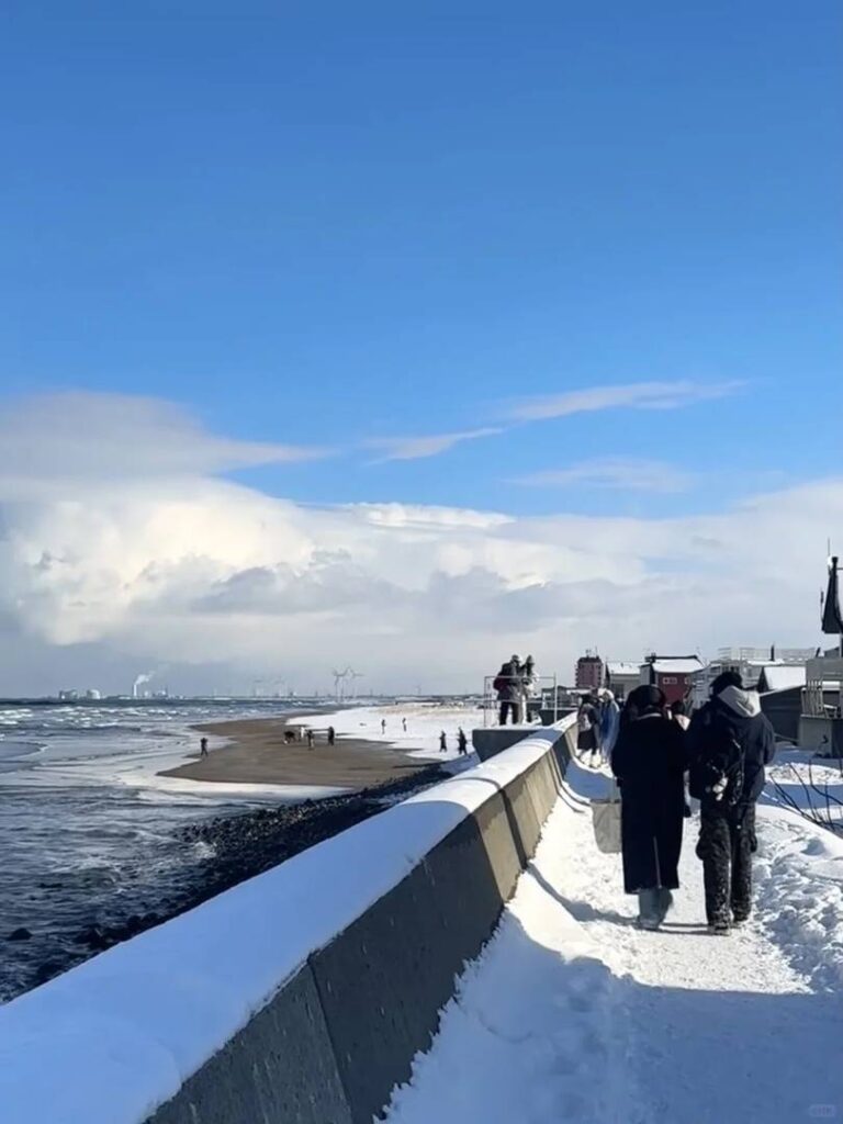 北海道旅行の必須知識：4回訪れた旅行者の正直な洞察