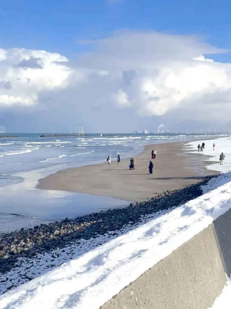Must-Know Hokkaido Travel Tips: Honest Insights from a 4-Time Visitor