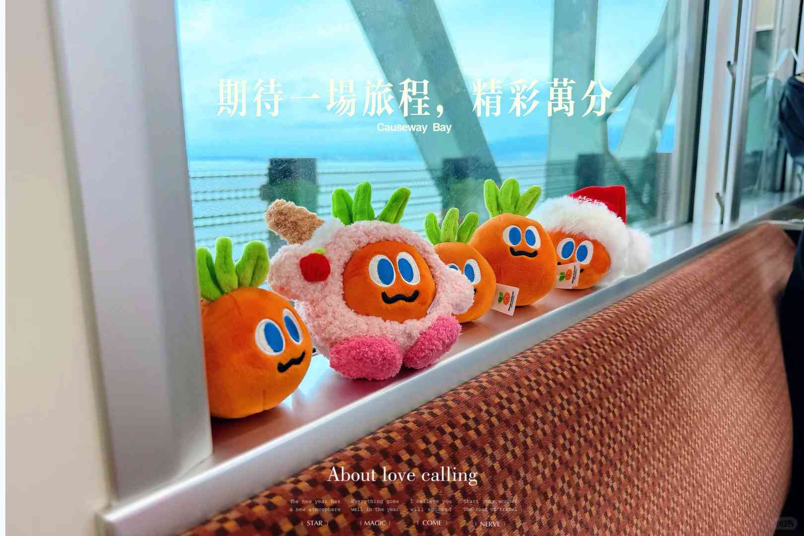 Osaka Travel Guide: Best Tips for Taking Bububu on a Memorable Trip