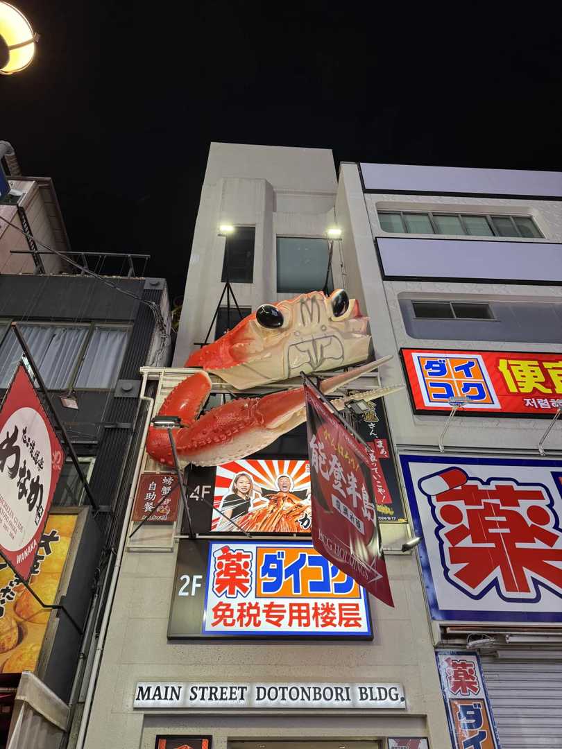 Osaka Walking Tour: Must-See Photo Spots & Iconic Billboard Stops