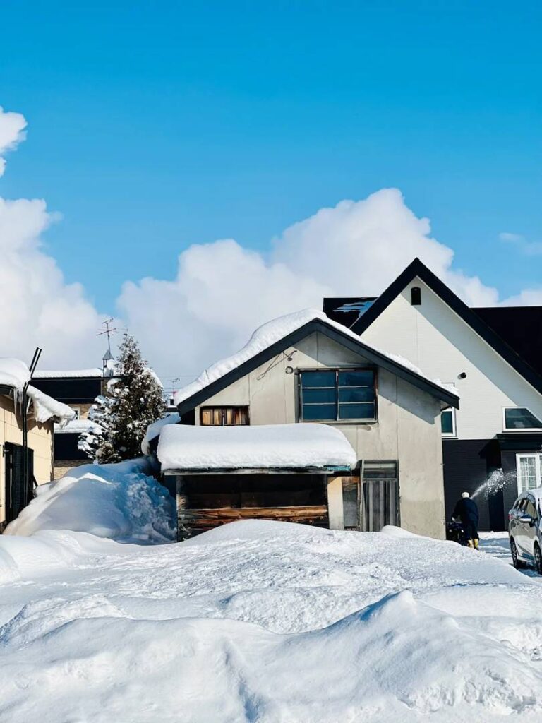 Relive Your First Trip to Hokkaido: Magical Winter Memories & Travel Tips