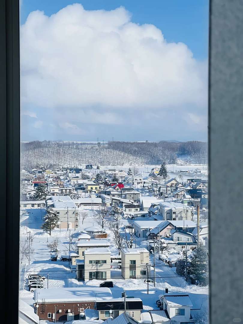 Relive Your First Trip to Hokkaido: Magical Winter Memories & Travel Tips