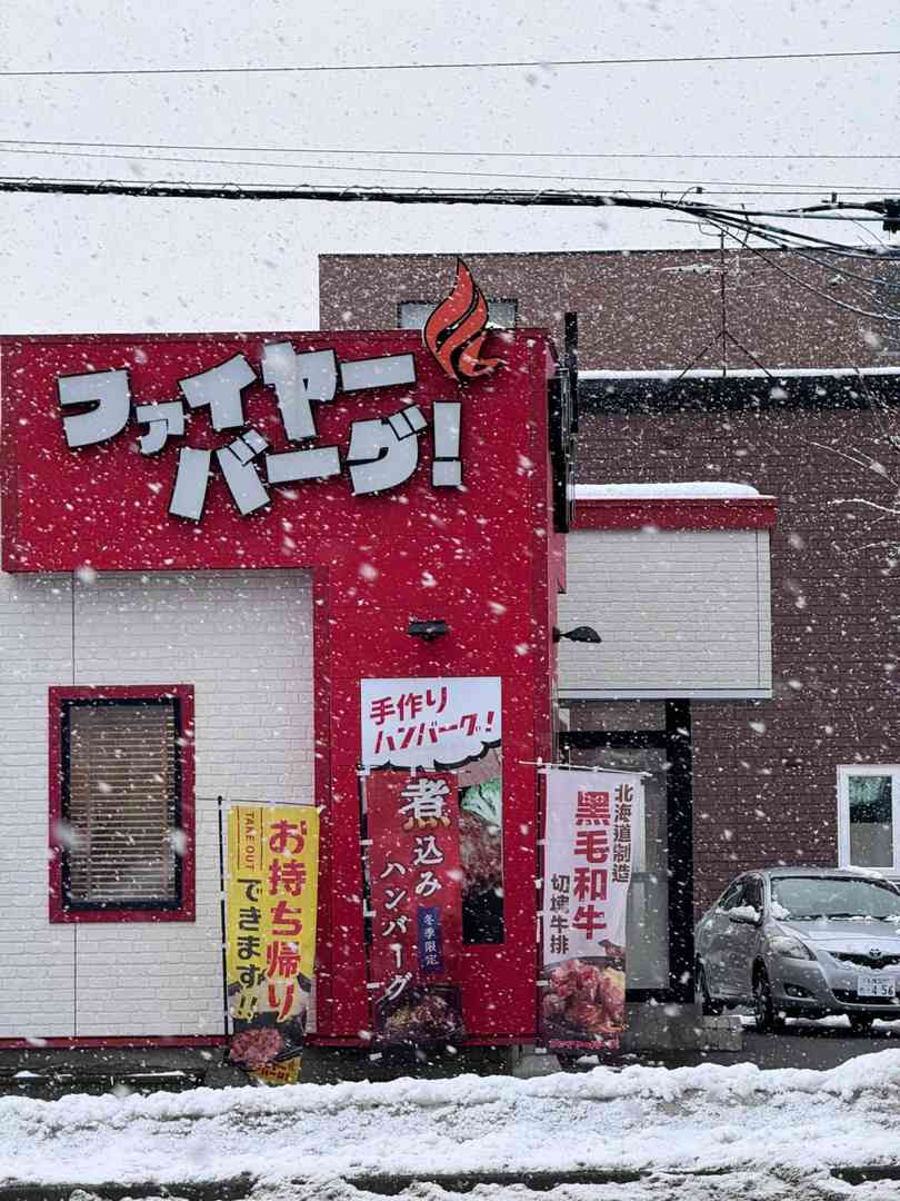 Sapporo Snowstorm: Record-Breaking Heavy Snowfall & Winter Travel Tips