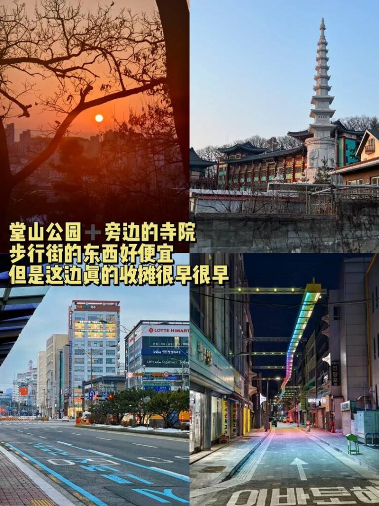 Sky Korea Travel Guide: Must-Visit Attractions and Itinerary Recommendations for Seoul, Cheongju, Daejeon, and Andong