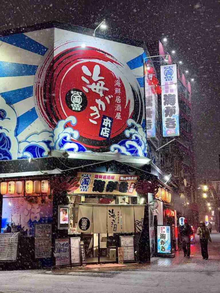 Fenômeno de tempestade de neve em Hakodate Station, em Hokkaido - Visão de um Wonderland Invernal ao vivo 1.14 ❄️