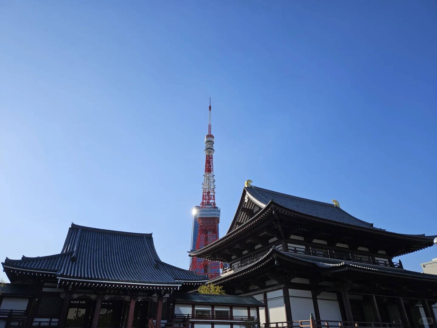 東京タワー ガイド：最高の景色、チケット、日本の必見アトラクション