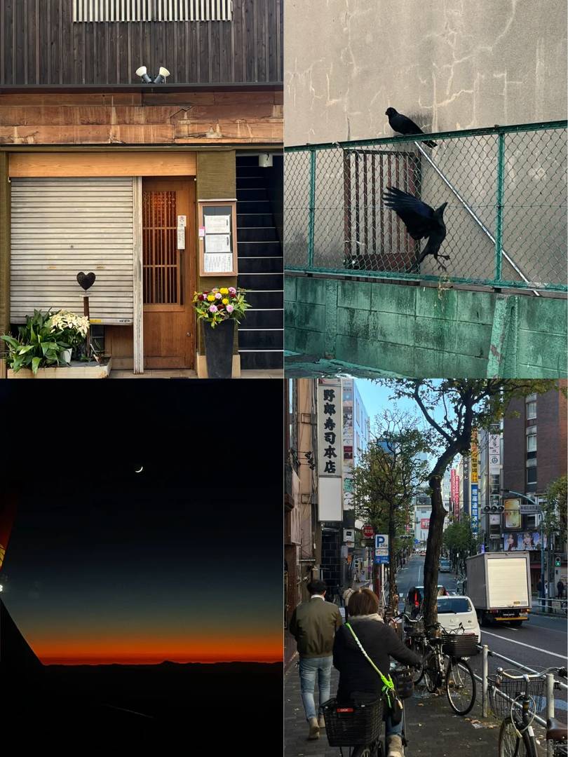 Tokyo's Magical Twilight Hours: Best Spots to Experience the City's Enchanting Glow