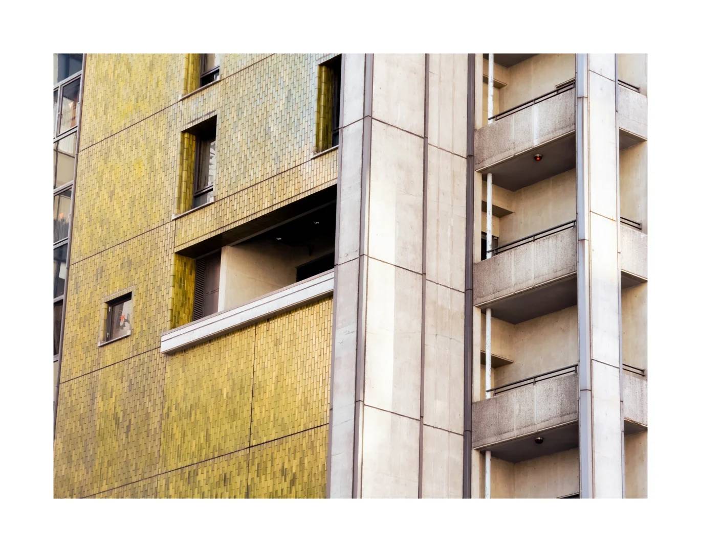 Top 10 Sustainable Building Materials for Eco-Friendly Construction Projects in 2025