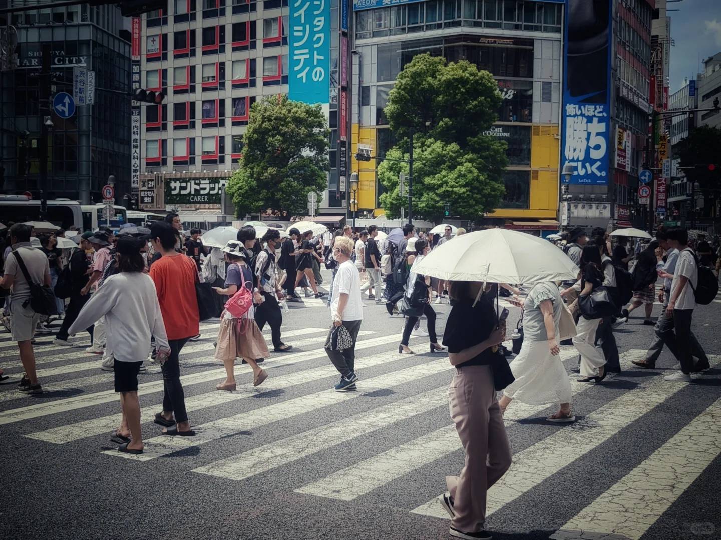 日本经典诗歌精选38首 | 深度赏析日本俳句与和歌之美 | 东方文学爱好者必读