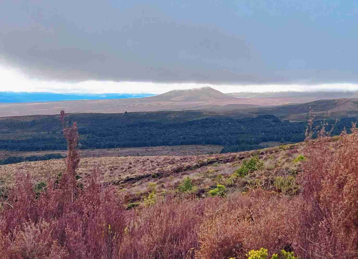 [Itinéraire de 19 jours en Nouvelle-Zélande en auto-stop] Explorer le Parc National de Tongariro : Randonnées et Vues Panoramiques