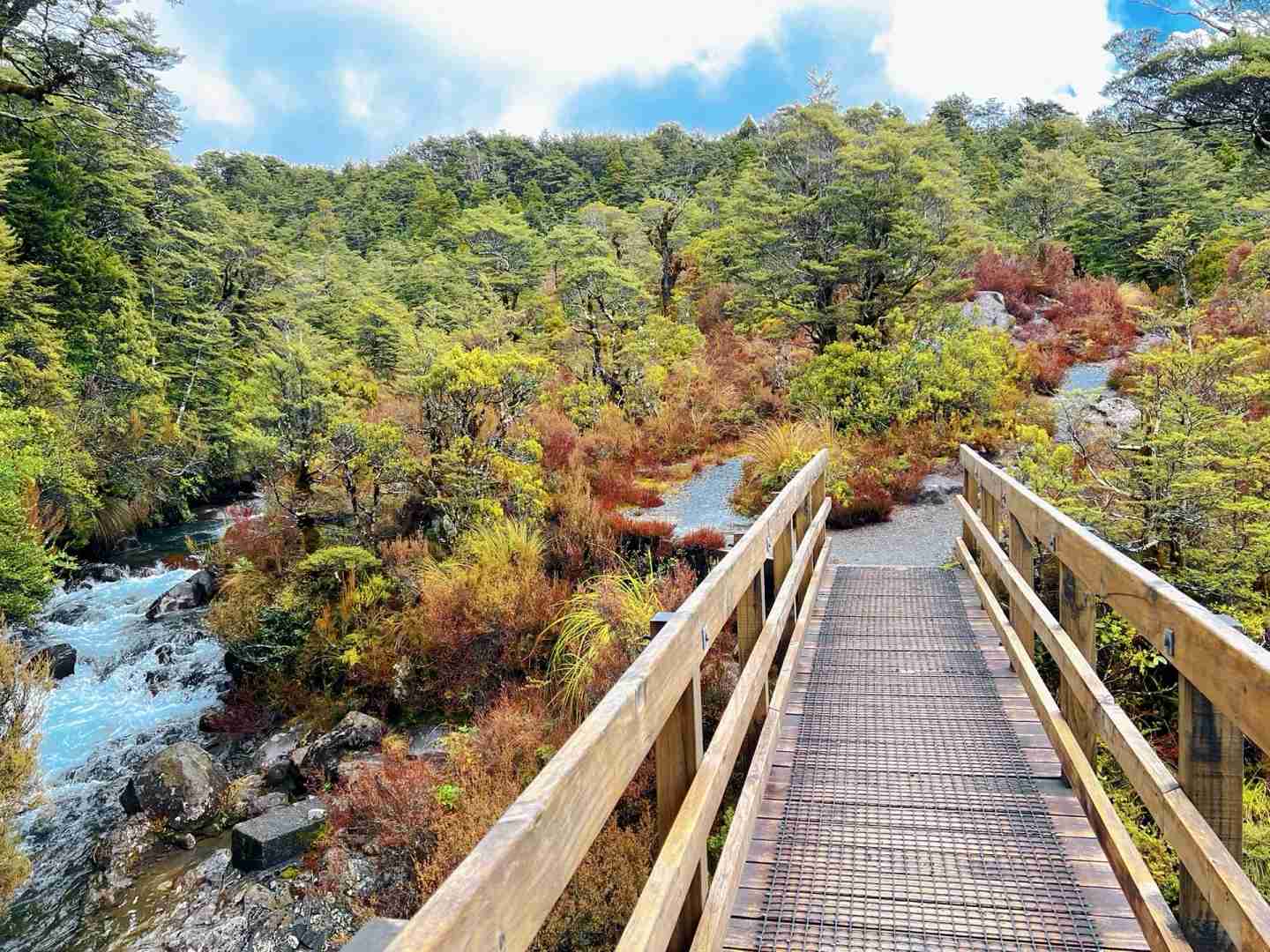 [Itinéraire de 19 jours en Nouvelle-Zélande en auto-stop] Explorer le Parc National de Tongariro : Randonnées et Vues Panoramiques