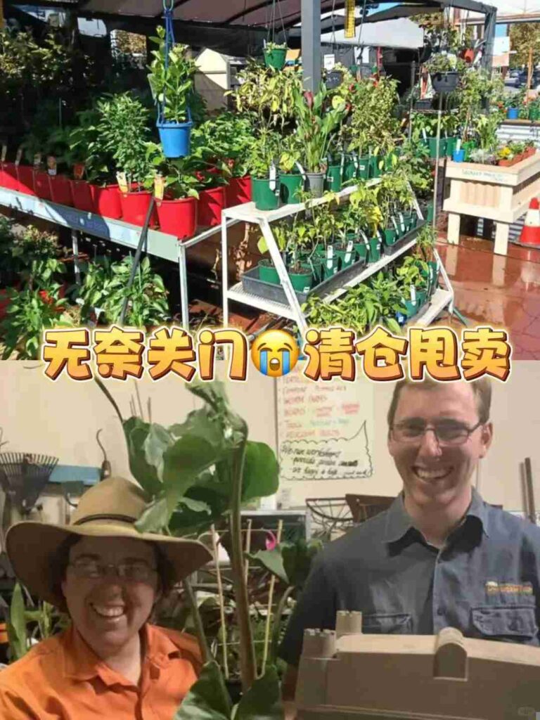 A maior liquidação da loja de jardim de Adelaide: Liquidação de encerramento emocional do proprietário! 😭