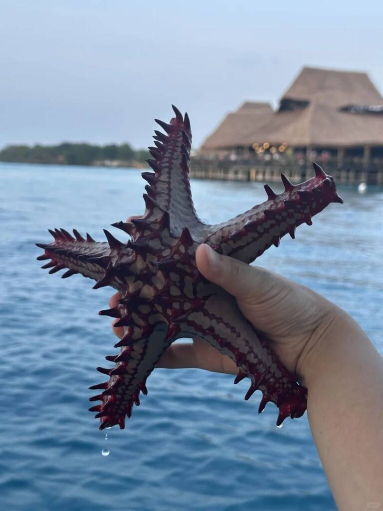 Affordable 3-Day Zanzibar Trip Costs: Budget Breakdown & Money-Saving Tips