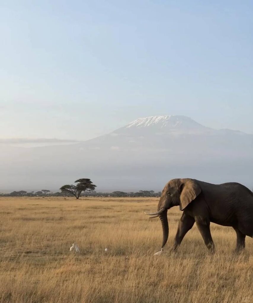 Affordable Africa Travel Guide: How to Explore Safaris & Adventures Under $5,000