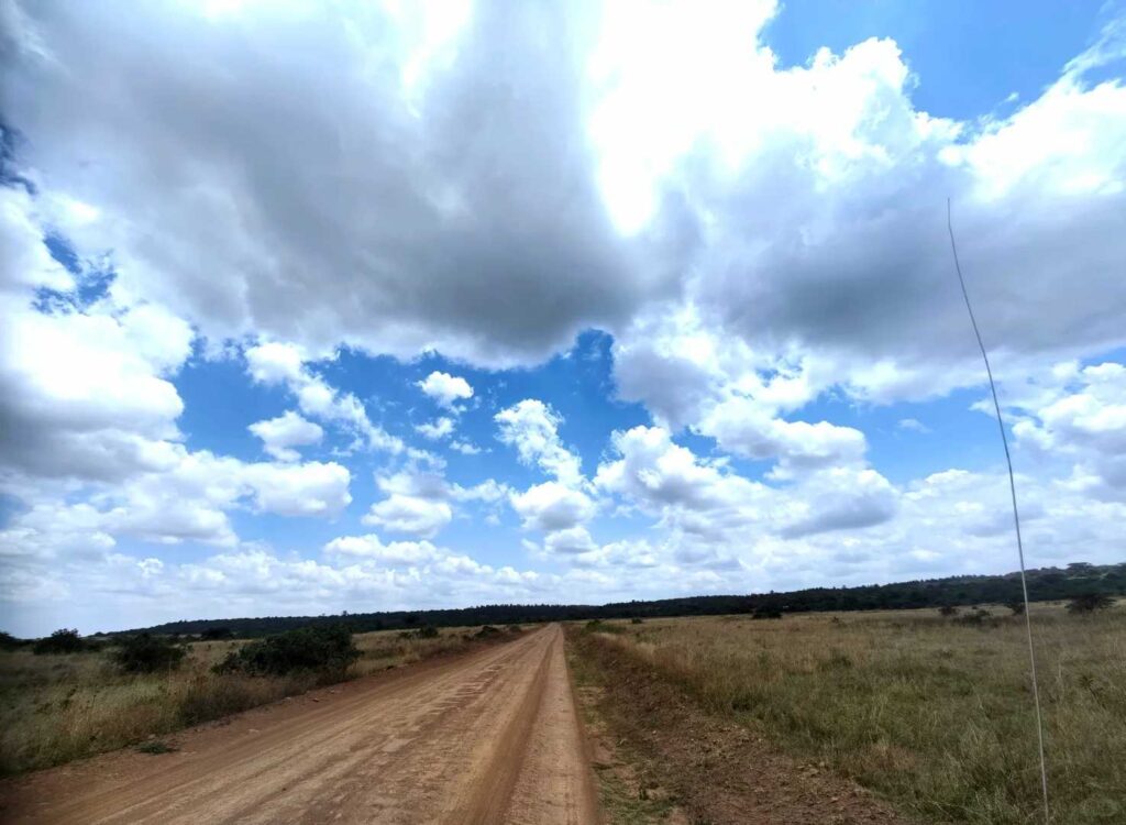 Affordable Nairobi National Park Half-Day Safari: Budget-Friendly Adventure for Backpackers
