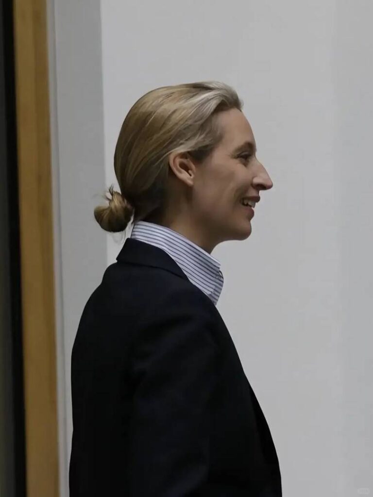 アリス・ヴァイデルは現代政治においてクラシックなスーツとタイのイメージを体現している。
