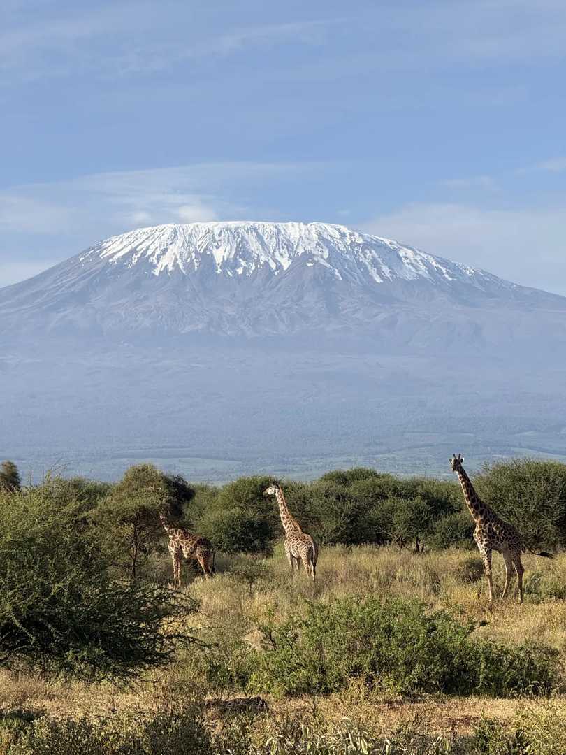 Amboseli National Park: Best Safari Views of Mount Kilimanjaro in Africa