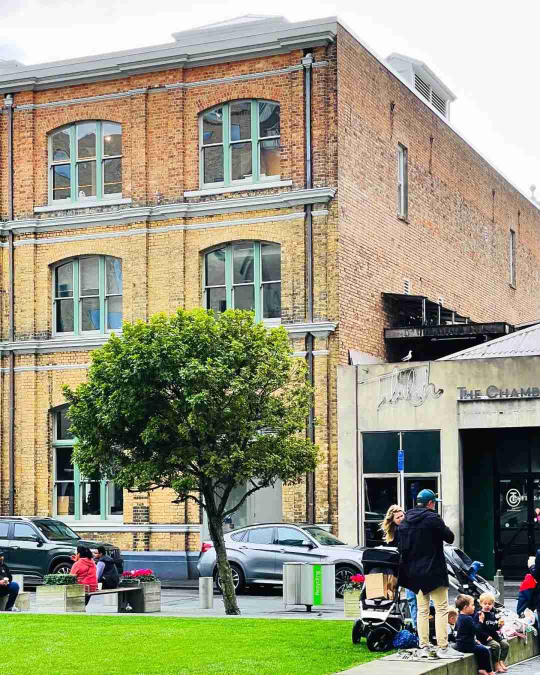 Passeio pela Cidade de Auckland: Desfrute do Clima Mais Confortável para uma Caminhada Agradável 🌤️