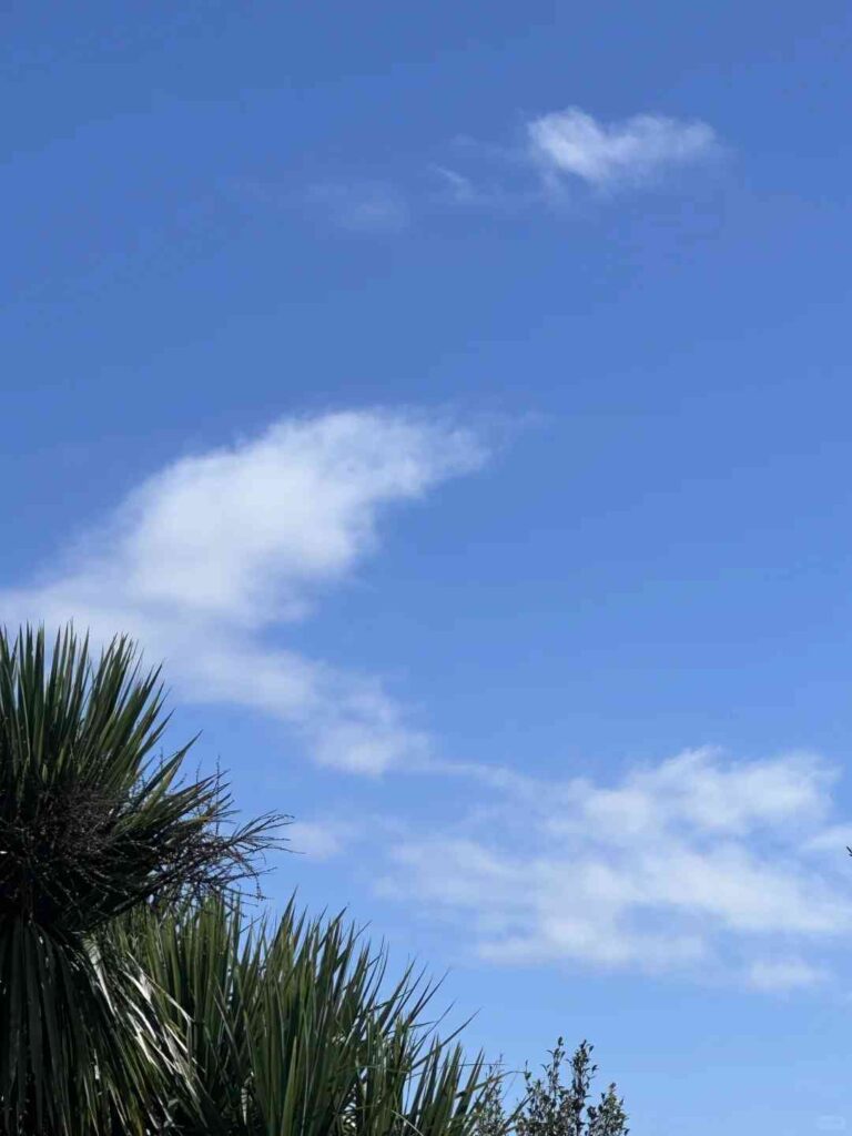 Prévision météo pour Auckland le 14 avril 2025 : Ce qui vous attend ☀️