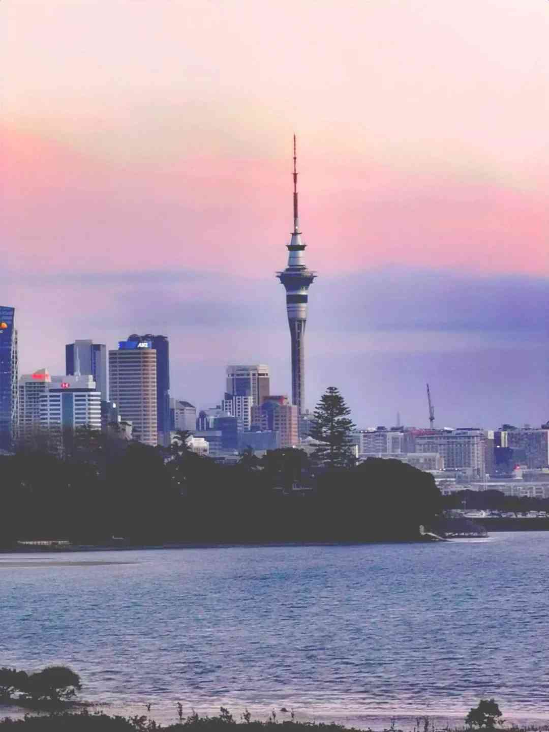Zurück von 8 Tagen in Neuseeland: Ehrliche Tipps und Ratschläge für zukünftige Reisende