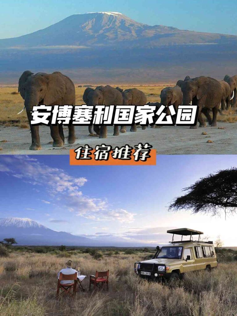 Best Accommodation Recommendations for Safari Lovers in Amboseli National Park, Kenya